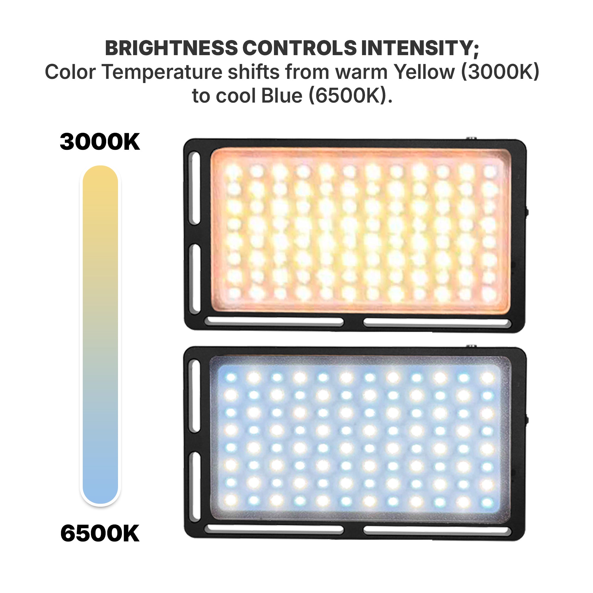 Audience LED Studio Light for Photo and Video Content Creators